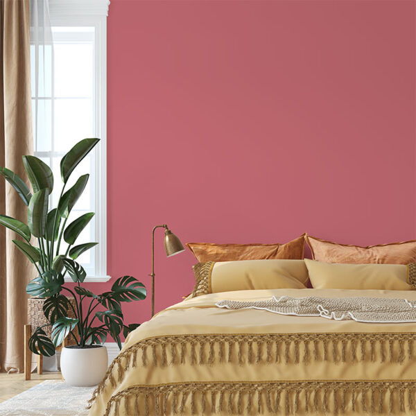 Coral wall paint